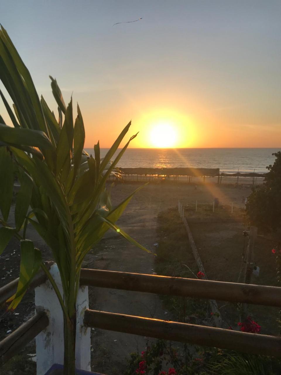 Hotel Palmera Beach Cartagena ภายนอก รูปภาพ